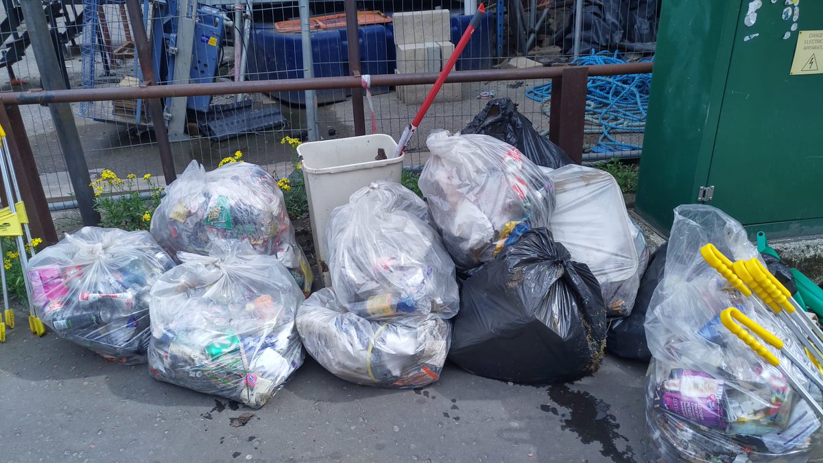 LitterfreeSB tweet media
