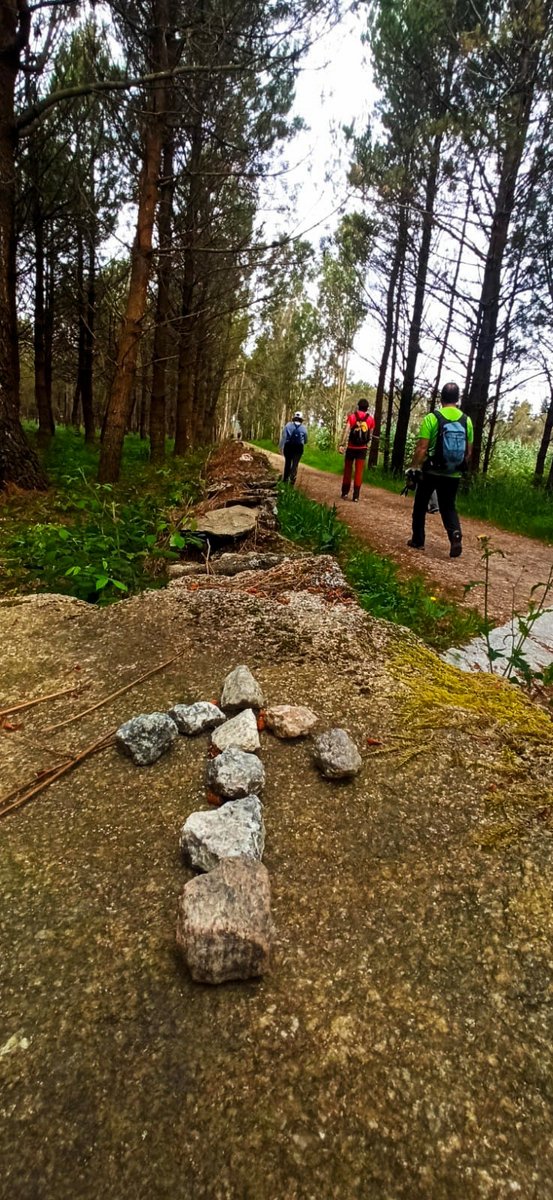 ConcellodeAres's tweet photo. ℹ️ Quinta ruta do #SendAres completada!
👉 Así, con todas as prazas cubertas, os inscritos na actividade fixeron un percorrido en dúas etapas #Cee #Finisterra
#ConcellodeAres #ConcellariaDeportesAres #SendAres2022 #CamiñodeSantiago
+info: 👇
https://t.co/ZsJU24Lntz https://t.co/qWqcKJGGcM