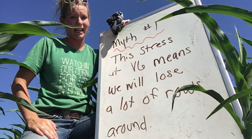 Bayer Traits & Systems tweet media