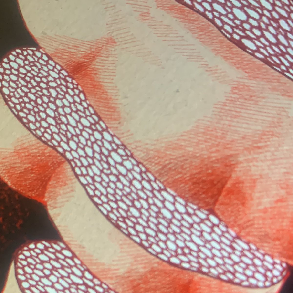 Now I'm cooking something something 🫀🩸🔪

#WIP