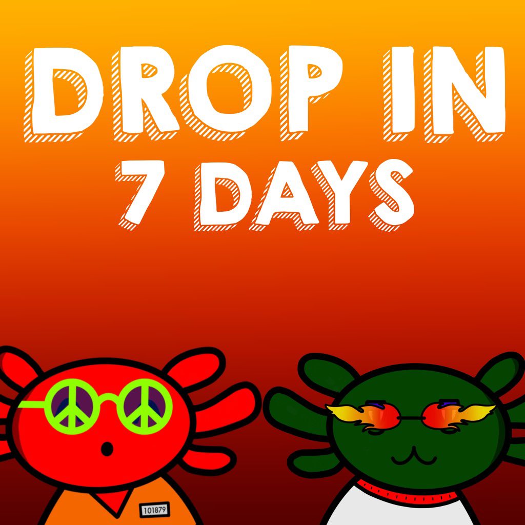 ExodusHomies's tweet photo. Are you ready ? 🤩🧡 

Drop is in 7 days ! 🔥

Set your alarm and be ready for the take off ! 🚀
Join the mission 🌎🌳

#nft #nftart #nftcommunity #nftcollection #nftartists
#nftmagazine #nftcollector #nftdrops #nftmarketplace
#nftinvestor #nftarts #exodushomie #exodushomies https://t.co/eD2ehrOBSV