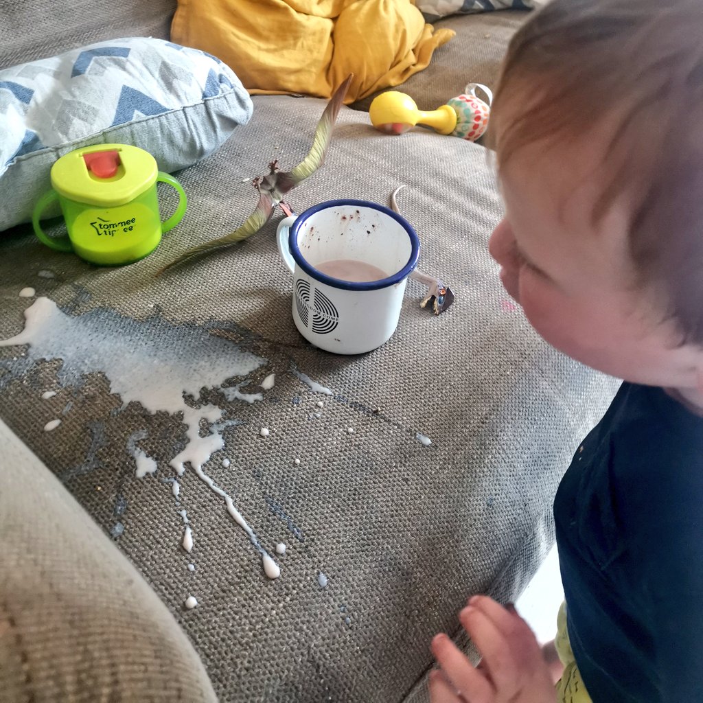 Childminder closed so doubly mind-frazzling day of #pharmacokinetics lectures. Complex reminder how amazing human body is, even at such micro level. 

Meanwhile, O tested dinosaur absorption of choc milk. This is now contraindicated on the sofa. 

Essential learning all round 🤦🏻‍♀️