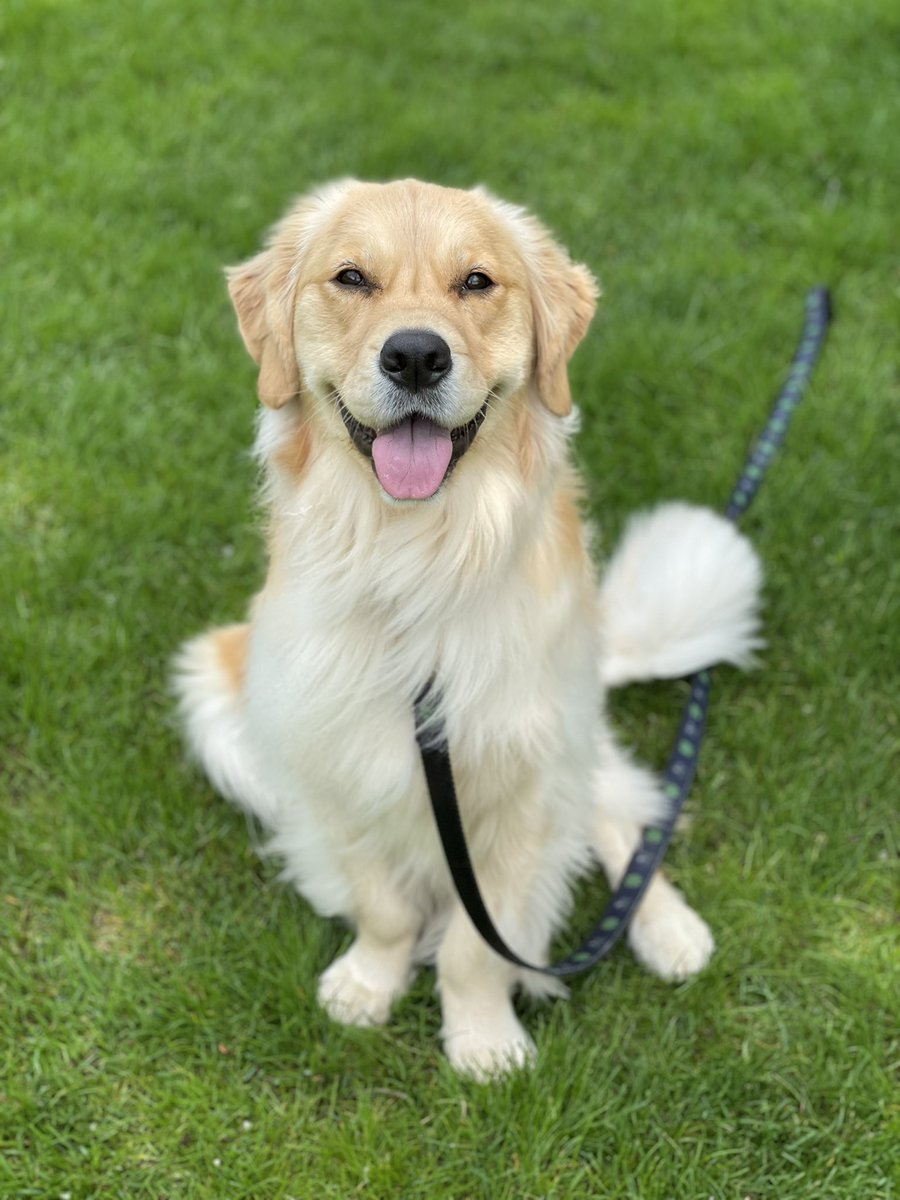 DPaluf2's tweet photo. Brixcee enters  #tongueouttuesday, #GRC. https://t.co/91H9gDtQ2x
