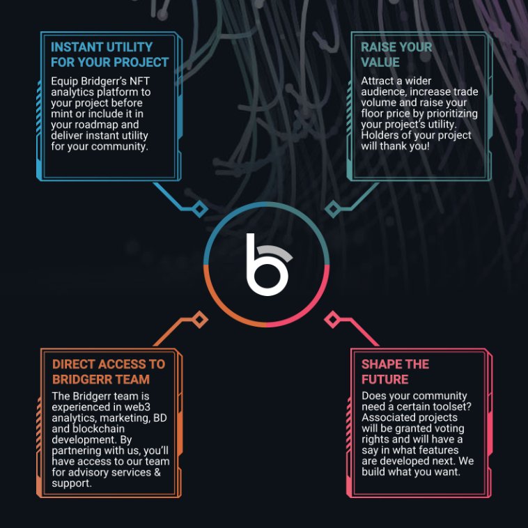 Starting at 7pm PST, all Space Riders holders will have full access to <a href="/bridgerrtech/">Bridgerr Consulting</a>'s NFT analytics &amp; tracking tools:

- perform technical analysis
- track owner distribution
- follow smart money (top wallets)
- on/off-chain alerts
- statistical rarity
- trait sniping