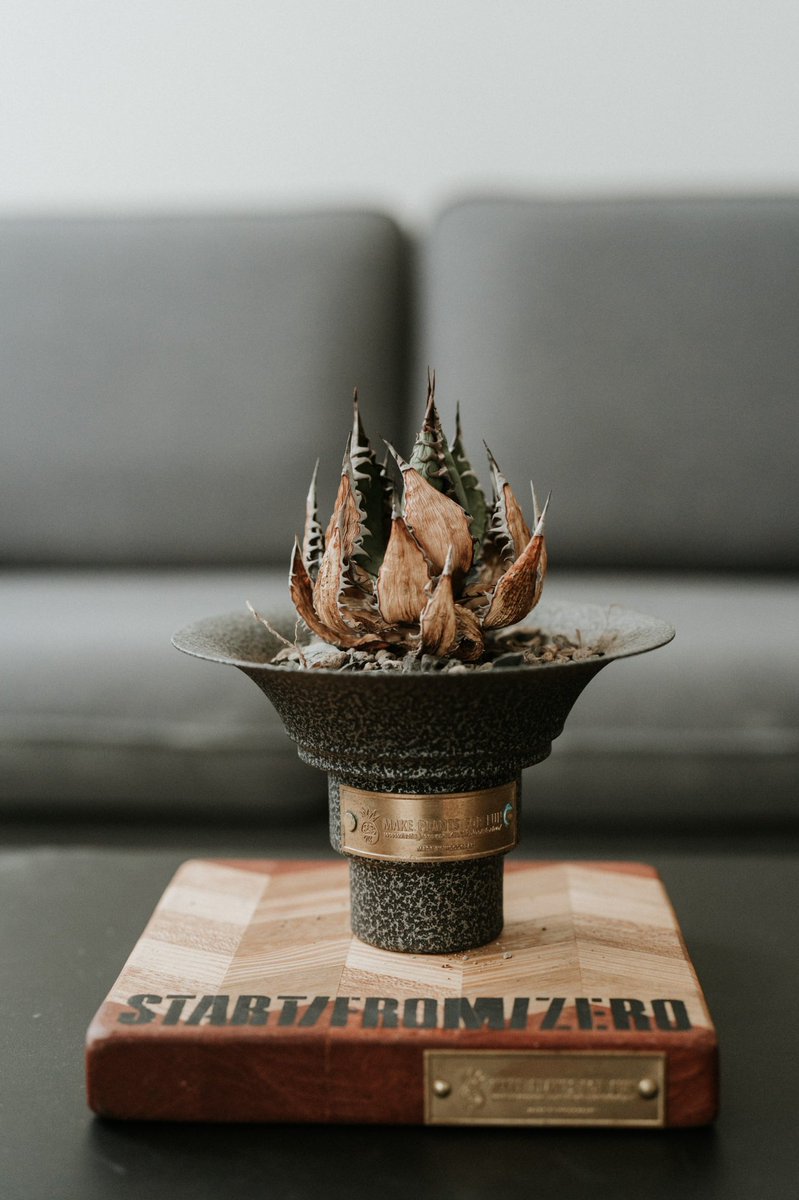 Smile1688H's tweet photo. @Smile1688H LB402W iron pot
(Dark Style) Restock!!!!🌪️🌪️🌪️🌪️
#agave #agavetitanota #初音ミク #ONStorm #嚴龍 #agavehorrida #霍利達 #makeplantsforfun #mpff #mpf2022 https://t.co/i7OX56vEGo