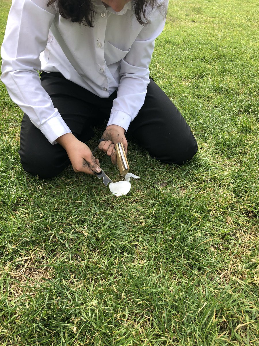 accessarchery's tweet photo. Mini shelters, wood prep for fire, flint and steel skills and of course toasting marshmallows @WellbeingNorth @WalkergatePS https://t.co/br8jBcBVgr