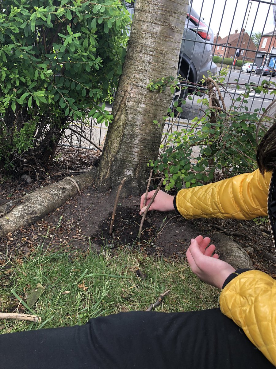 accessarchery's tweet photo. Mini shelters, wood prep for fire, flint and steel skills and of course toasting marshmallows @WellbeingNorth @WalkergatePS https://t.co/br8jBcBVgr