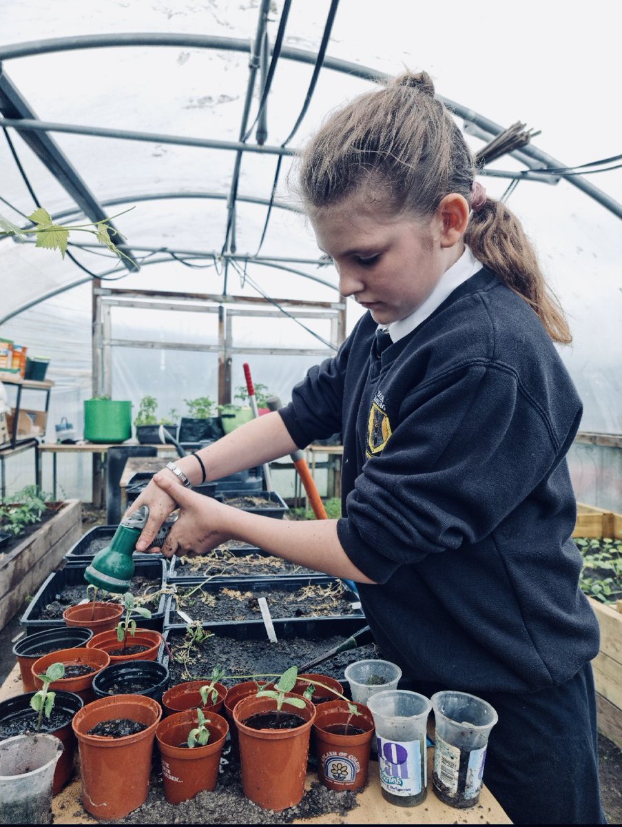 Loved popping in to Allotment Club this week! I even had a go at planting my own radish and lettuce seeds! Diolch Mrs Williams-Jones for having us 👩🏽‍🌾💛🖤 <a href="/MaestegSchool/">Maesteg School</a>