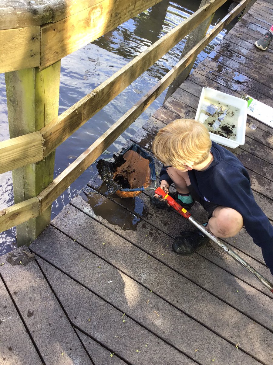 Broad Haven School (@broadhavencp) on Twitter photo A great day at Pwllcrochan. Class 4 enjoyed pond dipping, learning about different habitats, leaf identification and art activities. <a href="/ValeroEnergy/">Valero</a> #outdoorlearning A great day at Pwllcrochan. Class 4 enjoyed pond dipping, learning about different habitats, leaf identification and art activities. <a href="/ValeroEnergy/">Valero</a> #outdoorlearning