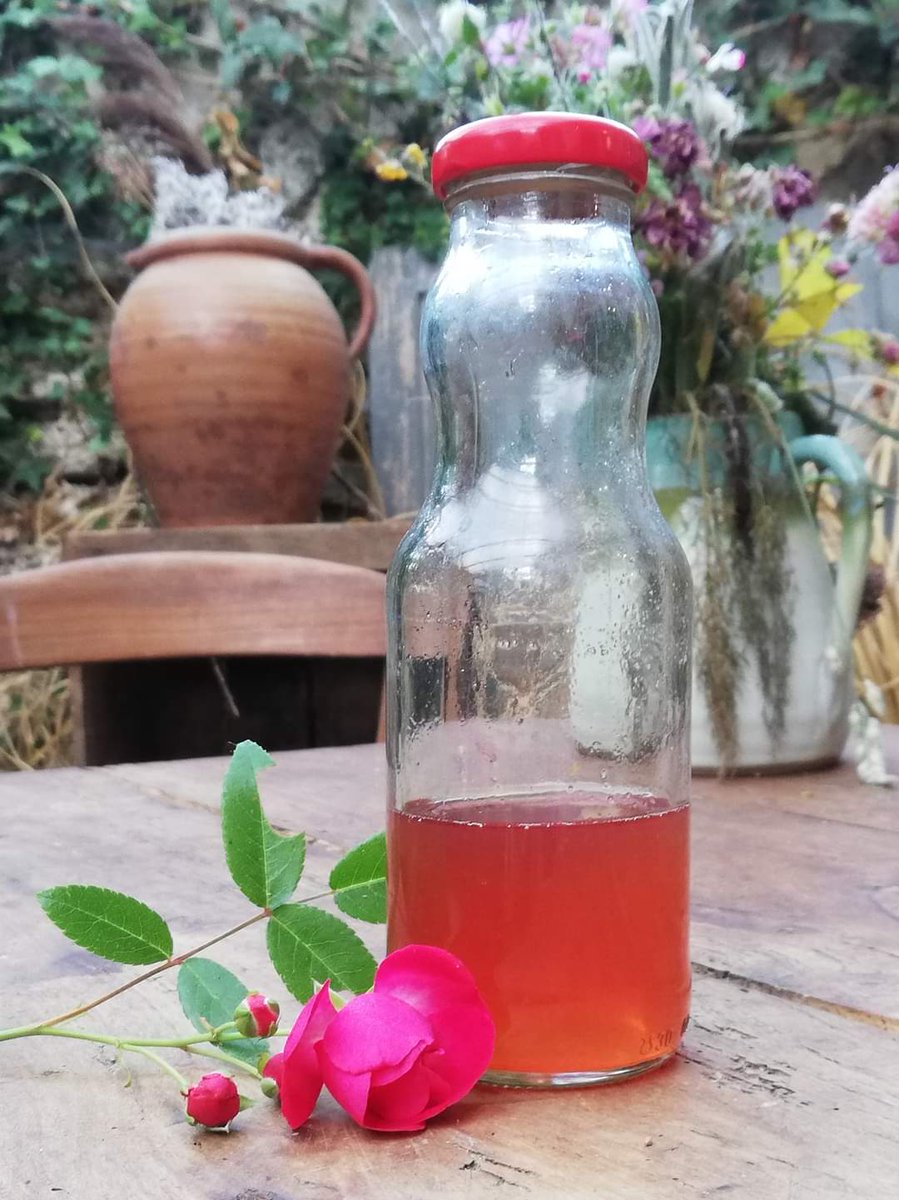LAtypique_Anjou's tweet photo. Après l'épicéa et les fleurs de sureau, c'est au tour des roses de finir en sirop. Et pas n'importe lesquelles, des roses d'#Anjou, celles des Roses Loubert qui s'épanouissent et embaument le jardin. Et je suis conquise...et je vous attends dès vendredi !
🤩🌹

1/3 https://t.co/lT7uJxClqw