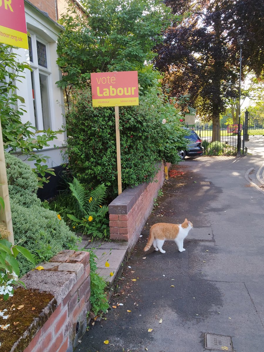 Varvara Sklez tweet media