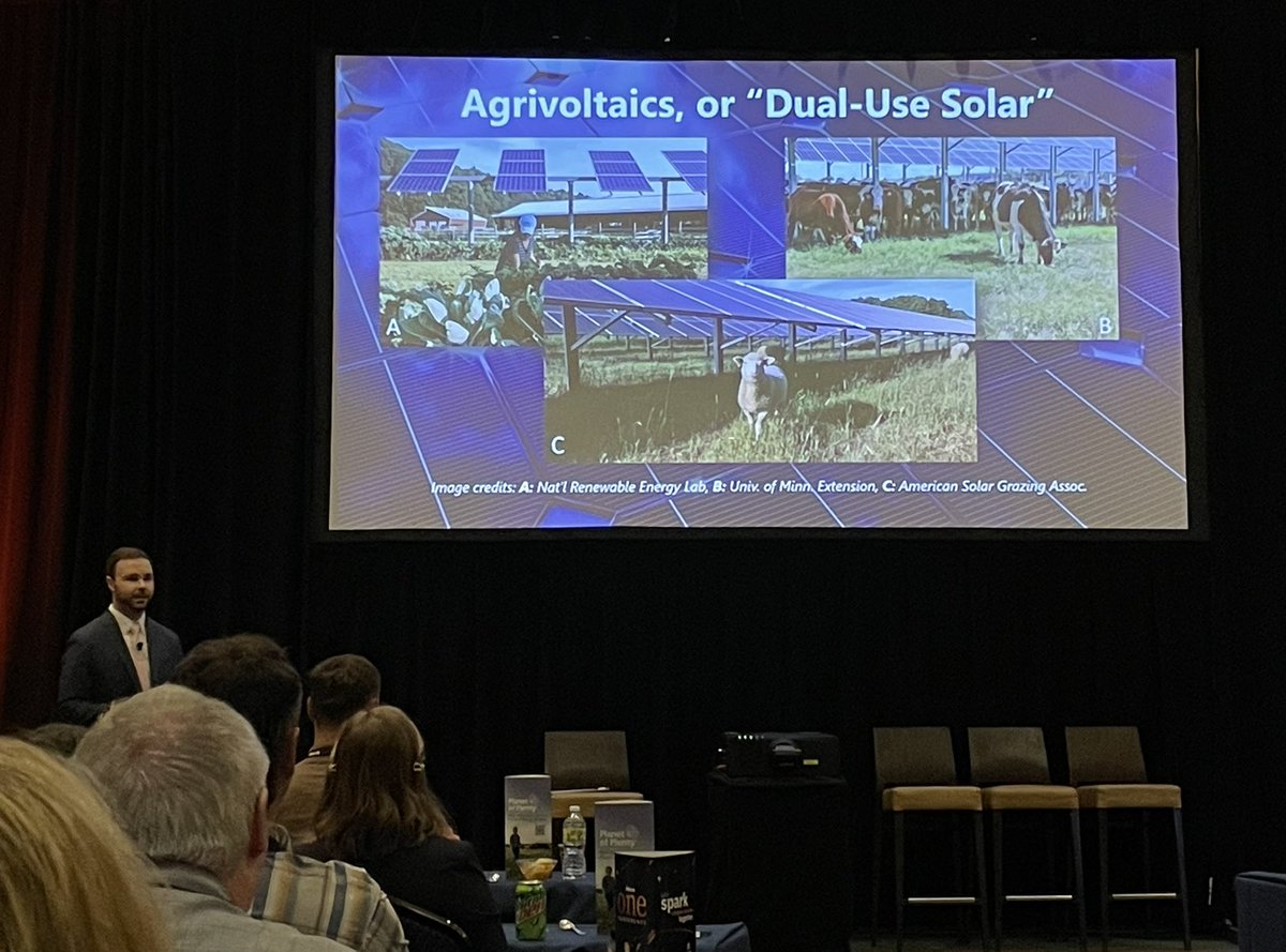 Bob_at_Alltech's tweet photo. Brooks Lamb of @Farmland Grazing dairy cows under solar panels #AlltechONE #alltecheurope https://t.co/nzzqXj24P8