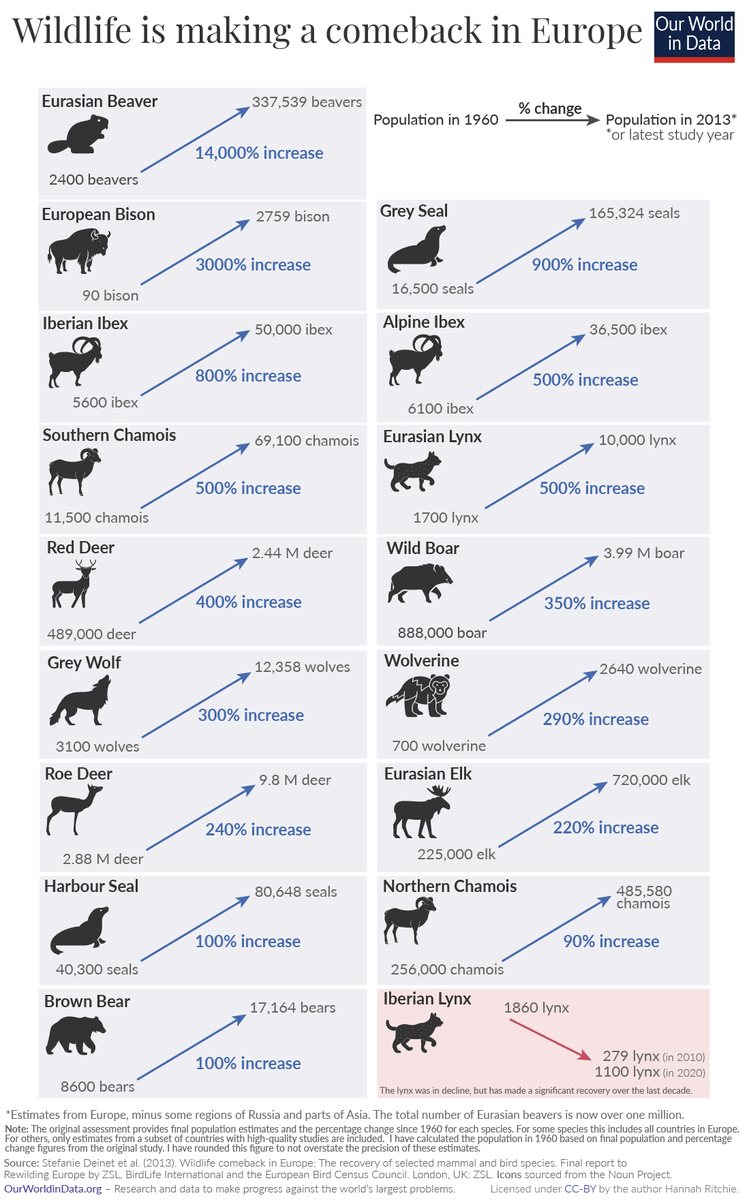 MaxCRoser's tweet photo. Wild mammals are making a huge comeback in Europe.

@OurWorldInData's latest post — written by @_HannahRitchie — is about this beautiful chart. 

Here it is https://t.co/zTU3lPrAlJ https://t.co/kerTCkAVY1