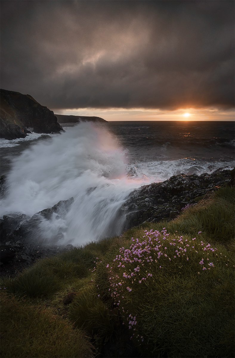 One from a great evening along the wonderfully wild Pembrokeshire coast week.

#Pembrokeshire #cymru