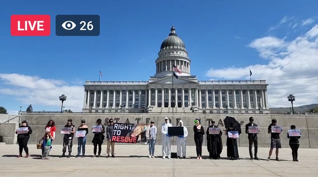 DxEverywhere's tweet photo. LIVE protesting @SeanReyesUT, Utah's AG, for covering up #animalcruelty at the world's largest "pork" producer & prosecuting the whistleblowers who exposed it with the investigation footage from "Operation Deathstar." #RightToRescue @SmithfieldFoods
Watch:
https://t.co/wZe4fbcBqd https://t.co/w3mXEaUKjc