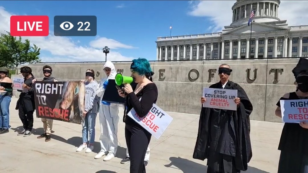 DxEverywhere's tweet photo. LIVE protesting @SeanReyesUT, Utah's AG, for covering up #animalcruelty at the world's largest "pork" producer & prosecuting the whistleblowers who exposed it with the investigation footage from "Operation Deathstar." #RightToRescue @SmithfieldFoods
Watch:
https://t.co/wZe4fbcBqd https://t.co/w3mXEaUKjc