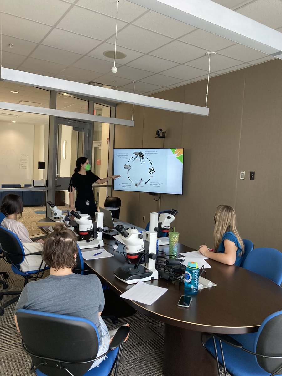 meganrae141's tweet photo. @nnazarionicole, a graduate student of the @DinglasanRhoel lab, led a mosquito ID workshop this morning! Great class! #WomenInScience #WomenSupportingWomen #mosquito @FL_VBDCoE https://t.co/vA5wk9cGgj
