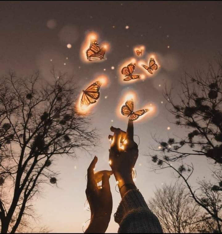 لتفوز بها لايجب أن تلعب بها 

#مساكم_صحة_وعافية