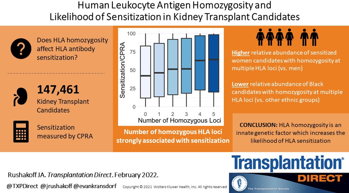 TransplantDirect (@txpdirect) on Twitter photo This study by .<a href="/jrushakoff/">Josh Rushakoff</a> et al. shows that #HLA homozygosity is an innate genetic factor that affects the likelihood of HLA sensitization. #OpenAccess #VisualAbstract #TransplantTwitter bit.ly/3alOa16 This study by .<a href="/jrushakoff/">Josh Rushakoff</a> et al. shows that #HLA homozygosity is an innate genetic factor that affects the likelihood of HLA sensitization. #OpenAccess #VisualAbstract #TransplantTwitter bit.ly/3alOa16