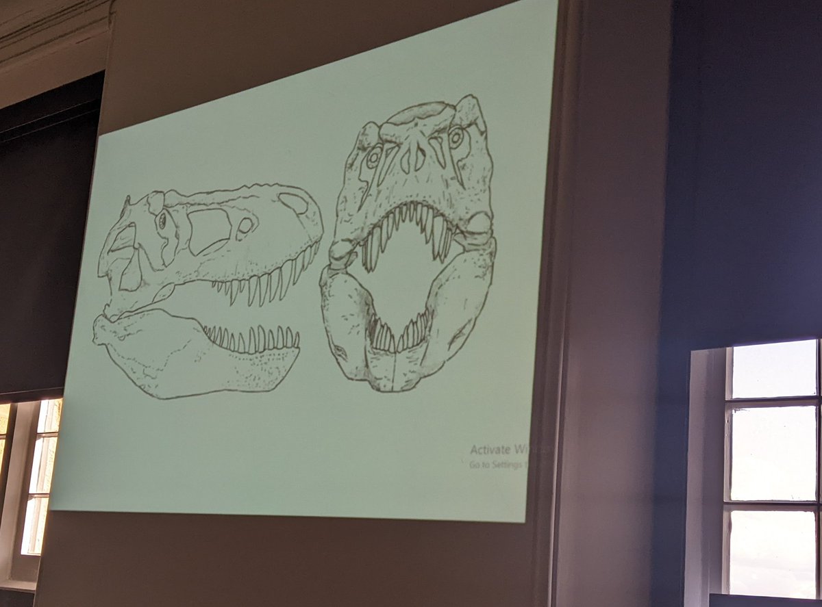 NCMGlearning's tweet image. Secret science show @WollatonHall , drawing T-rex with Paleo-artist Jed Taylor.