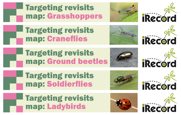 New maps available for 'targeting revisits' for a range of recording schemes. Maps show pink 1 km squares that have past records but no repeat surveys, and adding records from these squares helps make data available for monitoring change. Info at brc.ac.uk/article/target…