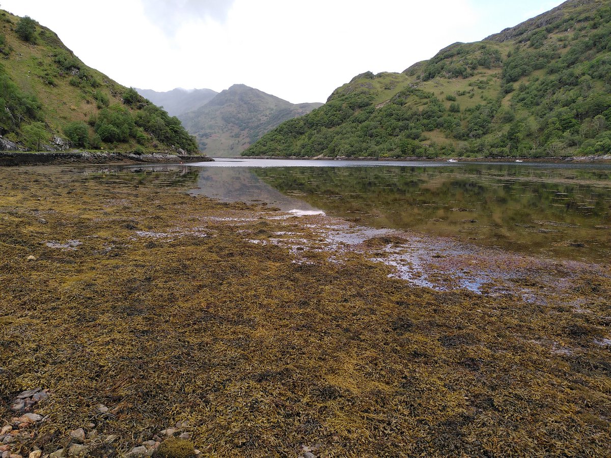 South Lakes Running Guide tweet media