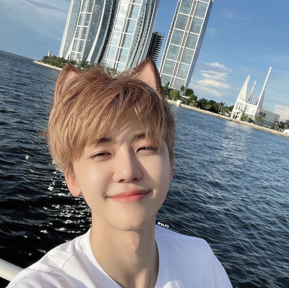 หน้าแมวจริงๆ