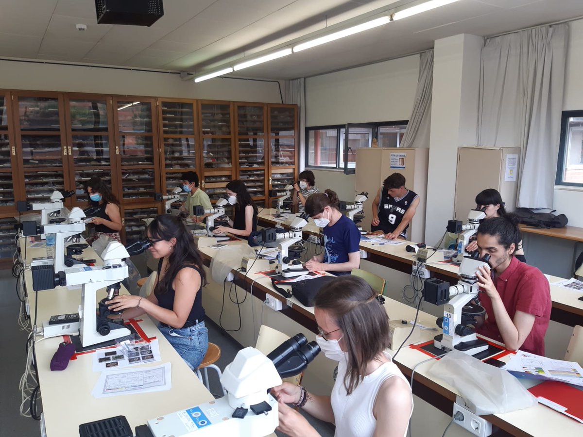 Barcelona SGA SEG Student Chapter tweet media