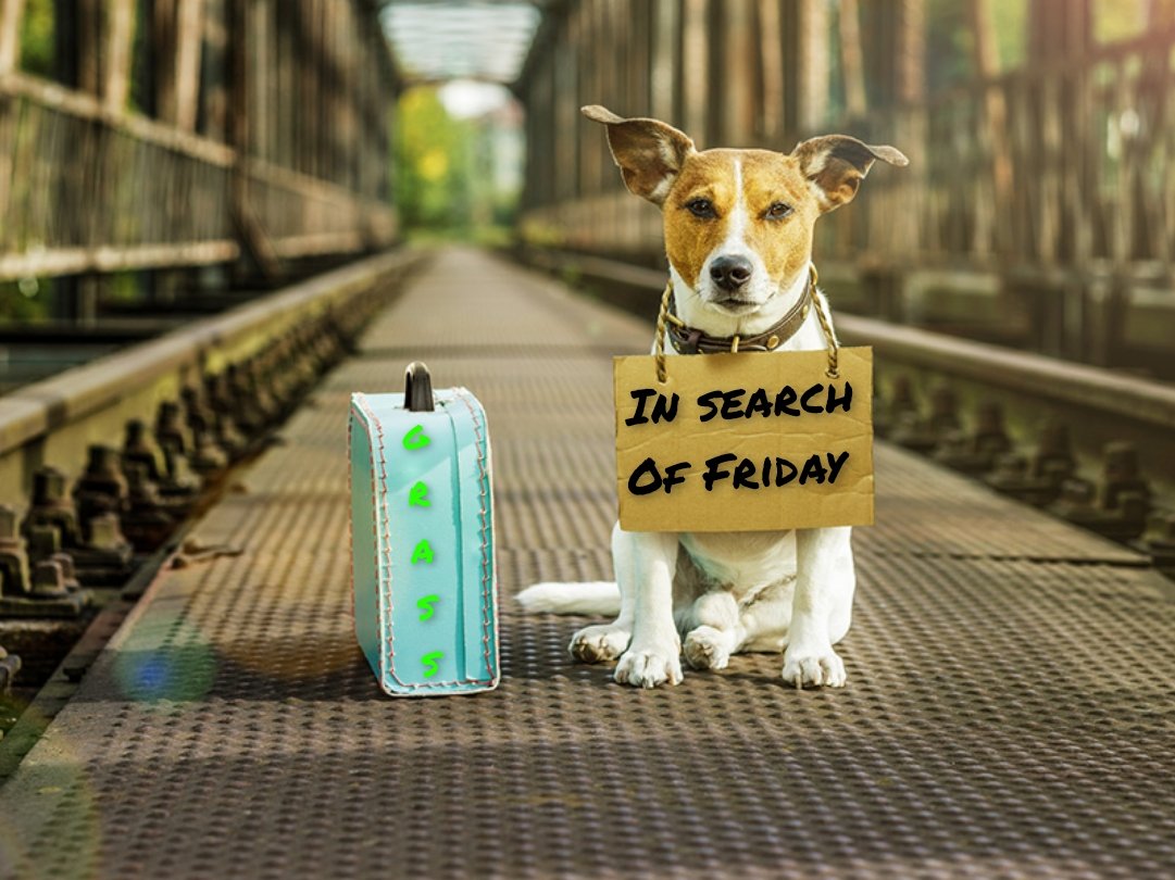 ManeatGrass's tweet photo. #TuesdayMotivaton #TuesdayVibe #TuesdayFeeling #TuesdayThought
#WhereIsFriday
Anyone else in search of the weekend??? If so ring me up let's go searching 🤪 😂😂👀 https://t.co/7ksV1fvM07