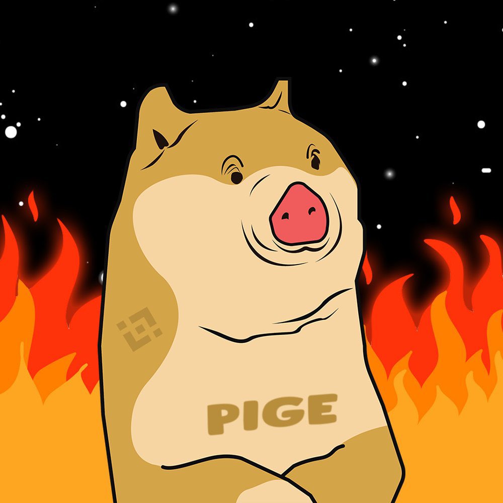 PigeInu's tweet photo. 🔥 SECOND BUYBACK AND BURN IS DONE 🔥

https://t.co/G8oEa0dQOD

https://t.co/bI7eDi0IyS

and we will keep doing this every week🦾🔥

#PigeInu #PIGE #PINU #PigeArmy #memecoin https://t.co/mxpk7jRMCR
