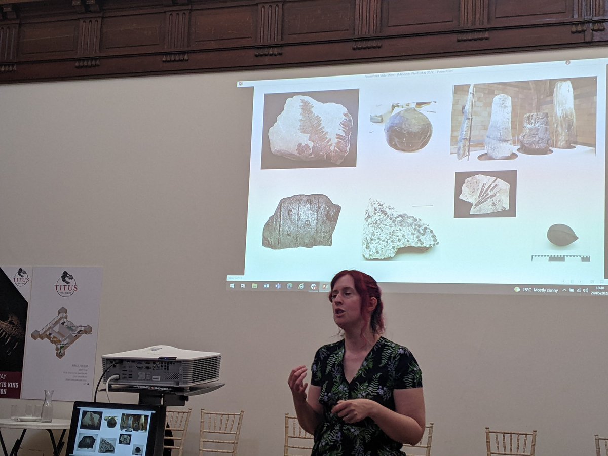 NCMGlearning's tweet image. Plants at the time of T-rex, with Dr Susannah Lydon @WollatonHall secret science show.