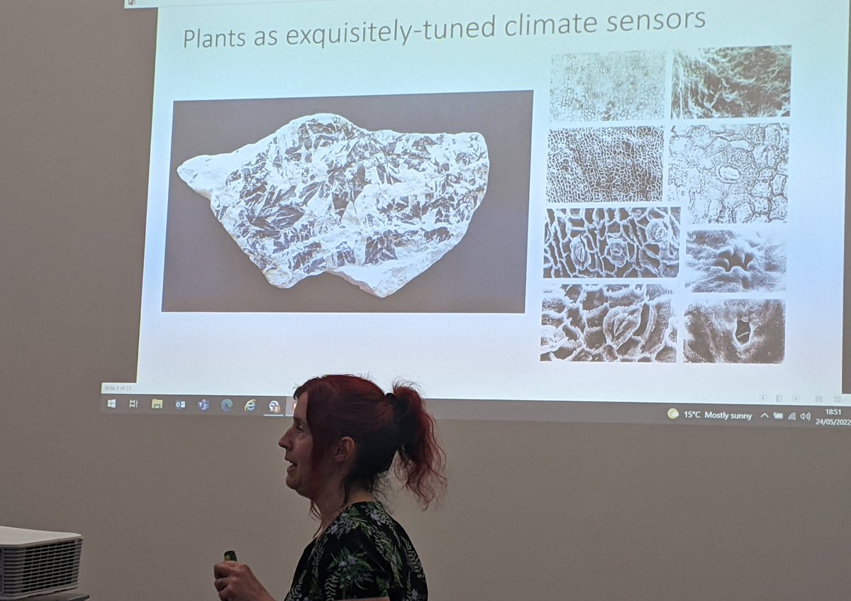 NCMGlearning's tweet image. Plants at the time of T-rex, with Dr Susannah Lydon @WollatonHall secret science show.