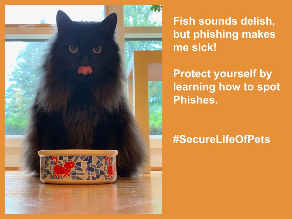 umichTECH's tweet photo. Don’t get yourself sick by responding to Phish! Protect yourself and learn how to spot Phishes. https://t.co/4tkEETaQti
#SecureLifeOfPets #SafeComputhing https://t.co/JYF1qDOwMY