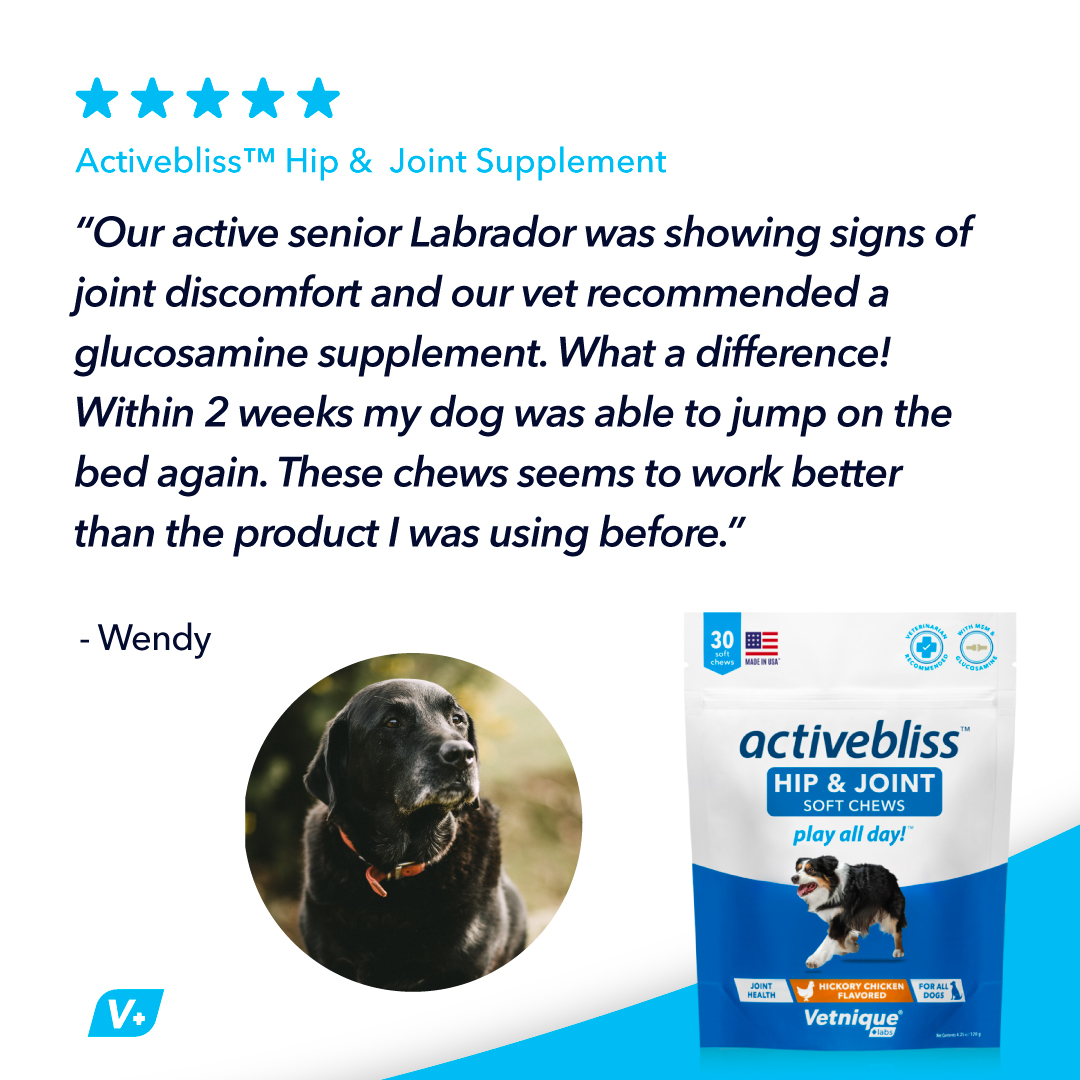 What Can I Give My Dog For Joint Health