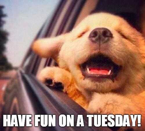 CapitolPlaces's tweet photo. Happy Tuesday from Capitol Places and 1321 Lofts!
(803) 779-5171
https://t.co/s8EZq3kTrg
https://t.co/wtKbnZmuos
.
.
.
#CapitolPlaces #apartmentlife #downtownliving #syncoproperties #mainstcolasc #mainstdistrict
#realcolumbiasc #discoversc #columbiyeah #columbia #southcarolina https://t.co/Ych8QMZoXs
