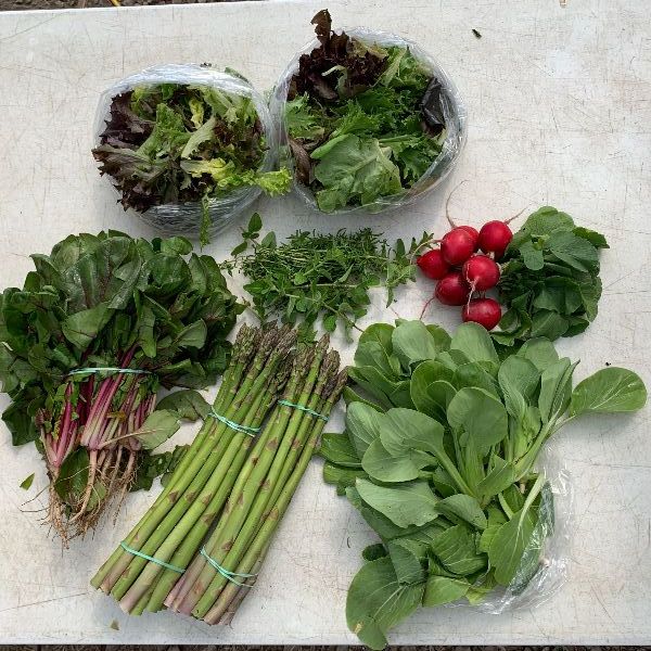 Under the Sun Farm tweet media