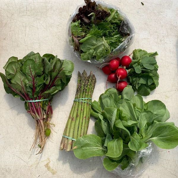 Under the Sun Farm tweet media