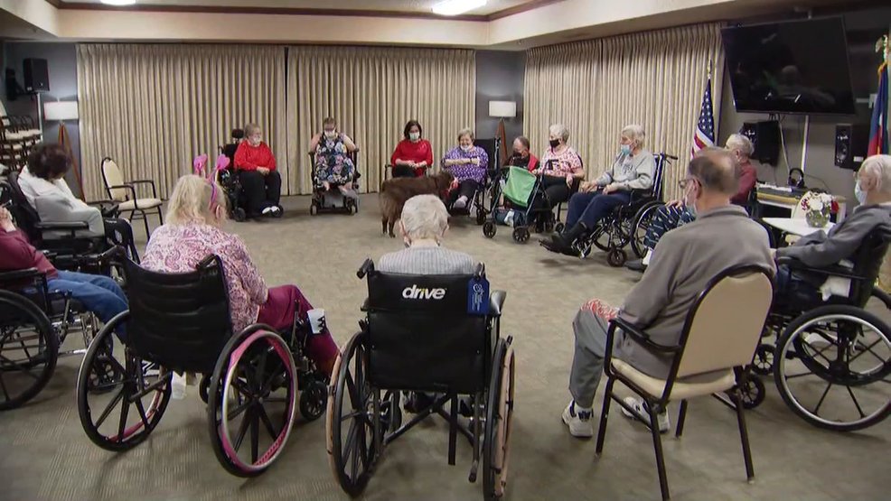 jehllawgroup's tweet photo. According to a new report, more than 400 nursing homes are projected to close in 2022 based on money and staffing issues. Workforce shortages and more elders choosing to keep living at home are both major contributors. Via @OKCFOX: https://t.co/vztSt0Nqph. #eldercare #elderlaw https://t.co/CE90JuhNtX