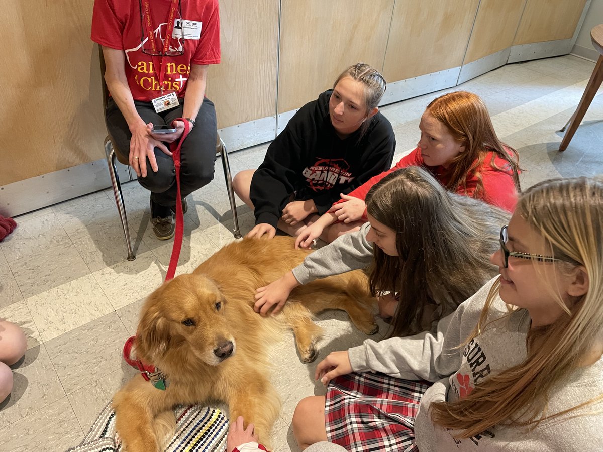ResurrectionHS's tweet photo. Guess who came back for a visit before finals? Lucas, an 8-year-old Golden Retriever, visited Tuesday during lunch thanks to Canines for Christ, a Christian-based, animal-assisted therapy ministry! #RESstudentlife #finalexams #mentalhealth #therapydog https://t.co/RDXqxongOt
