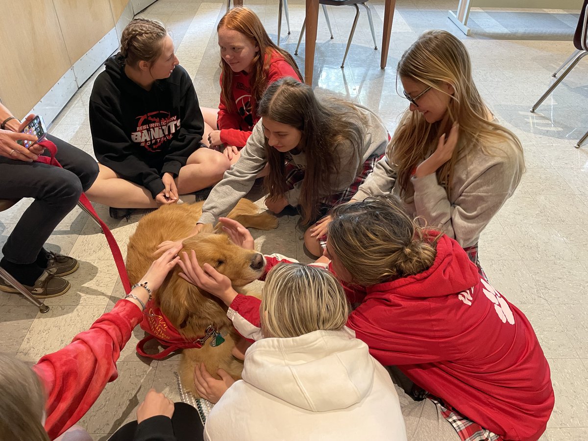 ResurrectionHS's tweet photo. Guess who came back for a visit before finals? Lucas, an 8-year-old Golden Retriever, visited Tuesday during lunch thanks to Canines for Christ, a Christian-based, animal-assisted therapy ministry! #RESstudentlife #finalexams #mentalhealth #therapydog https://t.co/RDXqxongOt