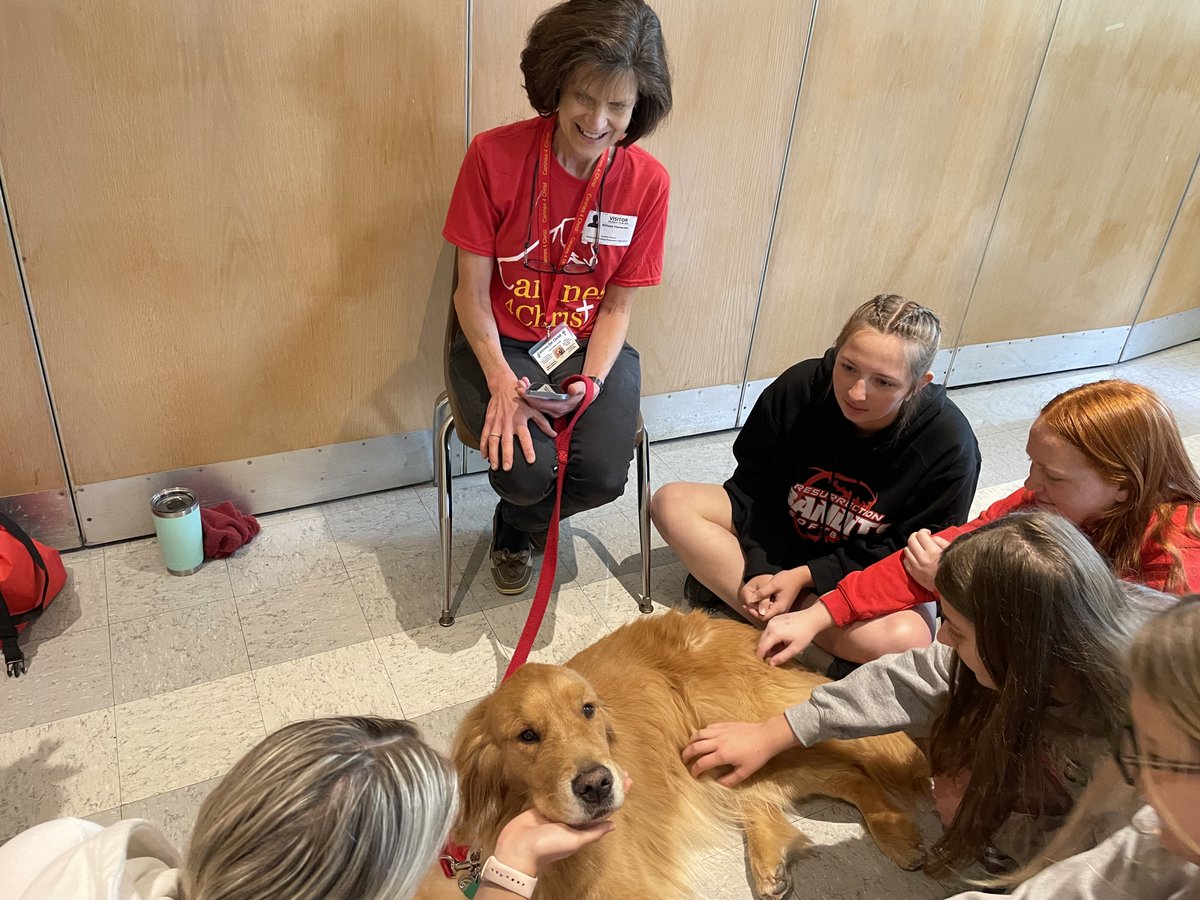 ResurrectionHS's tweet photo. Guess who came back for a visit before finals? Lucas, an 8-year-old Golden Retriever, visited Tuesday during lunch thanks to Canines for Christ, a Christian-based, animal-assisted therapy ministry! #RESstudentlife #finalexams #mentalhealth #therapydog https://t.co/RDXqxongOt