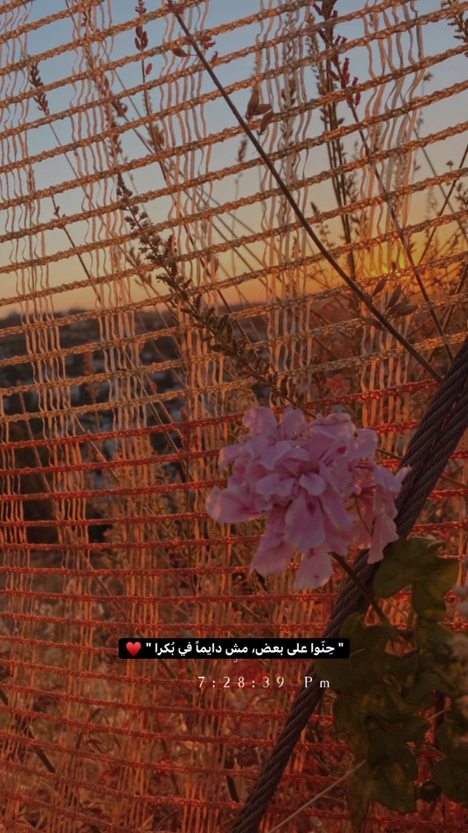 ﮼أمينة. 💙 (@memeheeh1997) on Twitter photo 