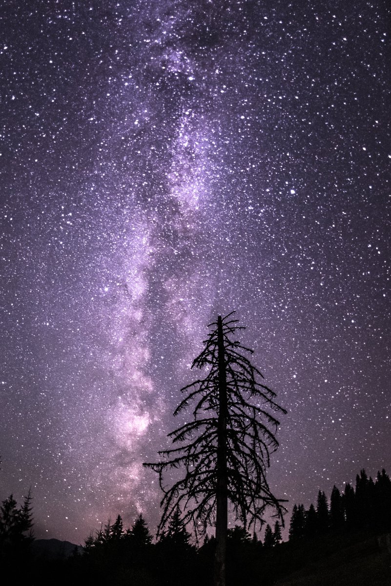 QLiebin's tweet photo. GN✨✨✨
Have a silent night with colorful dreams

About this photo: starry night on the way to the top of Hoverla mountain, Carpathians, Ukraine https://t.co/c7NoJCBg3y