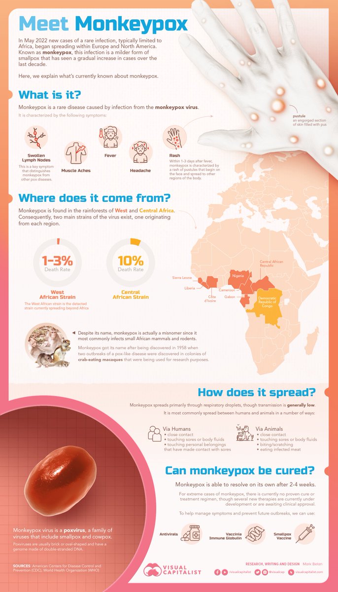 Visual Capitalist tweet media