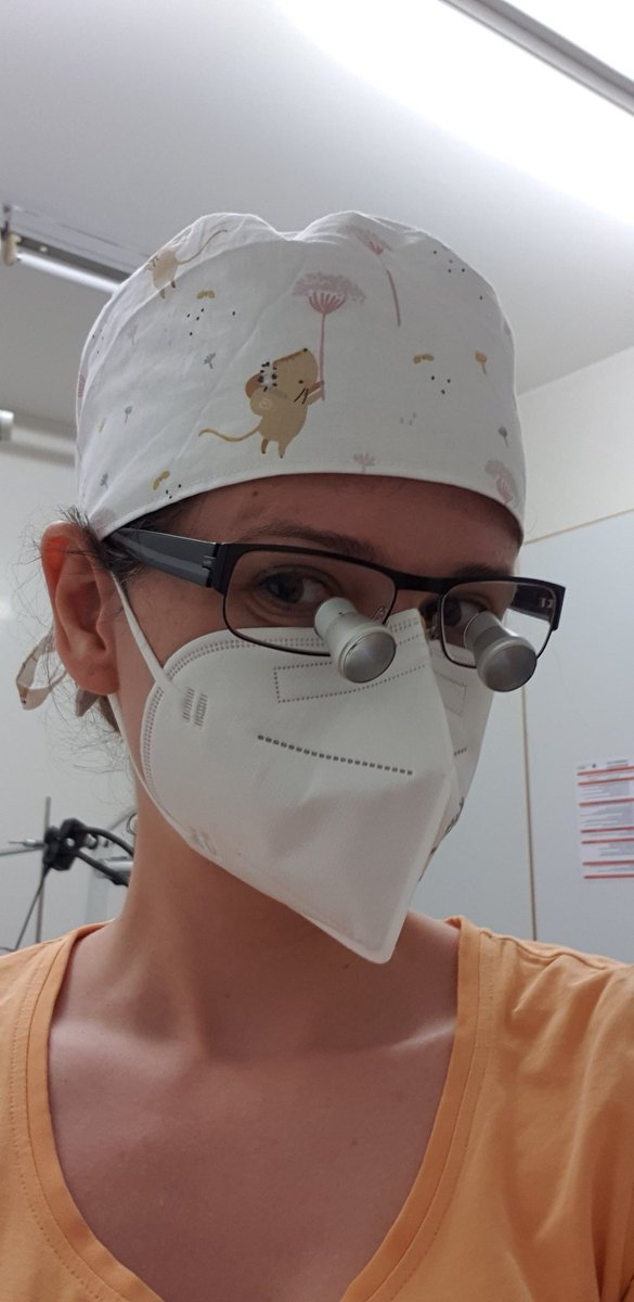 Today I went back to the lab after almost 2 weeks of #COVID and could finally wear this awesome surgical cap (which was a present from my colleagues from @OrthoLabUlm for my thesis defense) during the fracture surgeries 🥰🐭
#orthoresearch #AcademicTwitter #BestColleagues