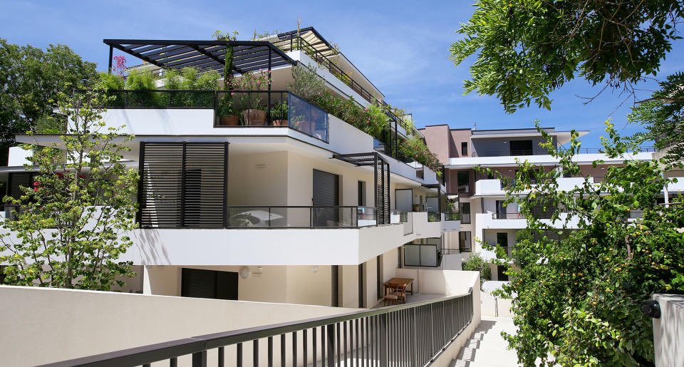 David Chouraqui tweet media