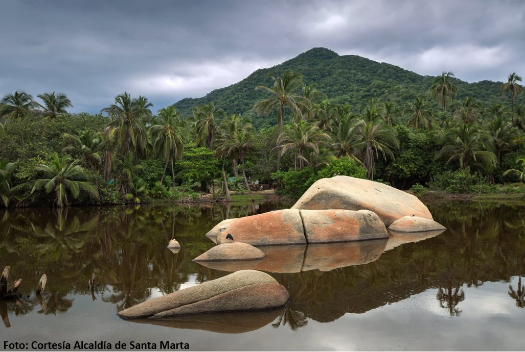 DiarioVertical's tweet photo. Parque Natural Tayrona nominado a los "World Travel Awards 2022".

Toda la información aquí 👇
https://t.co/OwcPYkTpSv

#turismodenaturaleza
#ParquesNaturales 
#ParquesNacionales 
#Colombia https://t.co/yw5Dmu0BCI