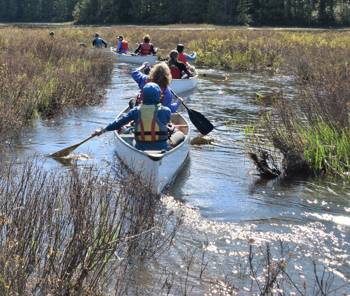 These amazing kids hand-crafted their paddles, learned to use them, planned a trip &amp; navigated through it. All the while earning @paddlecanada certificates to propel them in future careers &amp; adventures. Next, we teach every gr. 7 in @sd47_board how to paddle. #thisisourclassroom