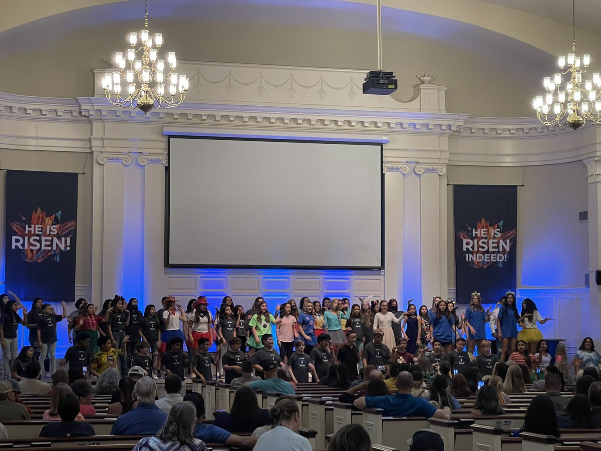 Elisa Bird tweet media