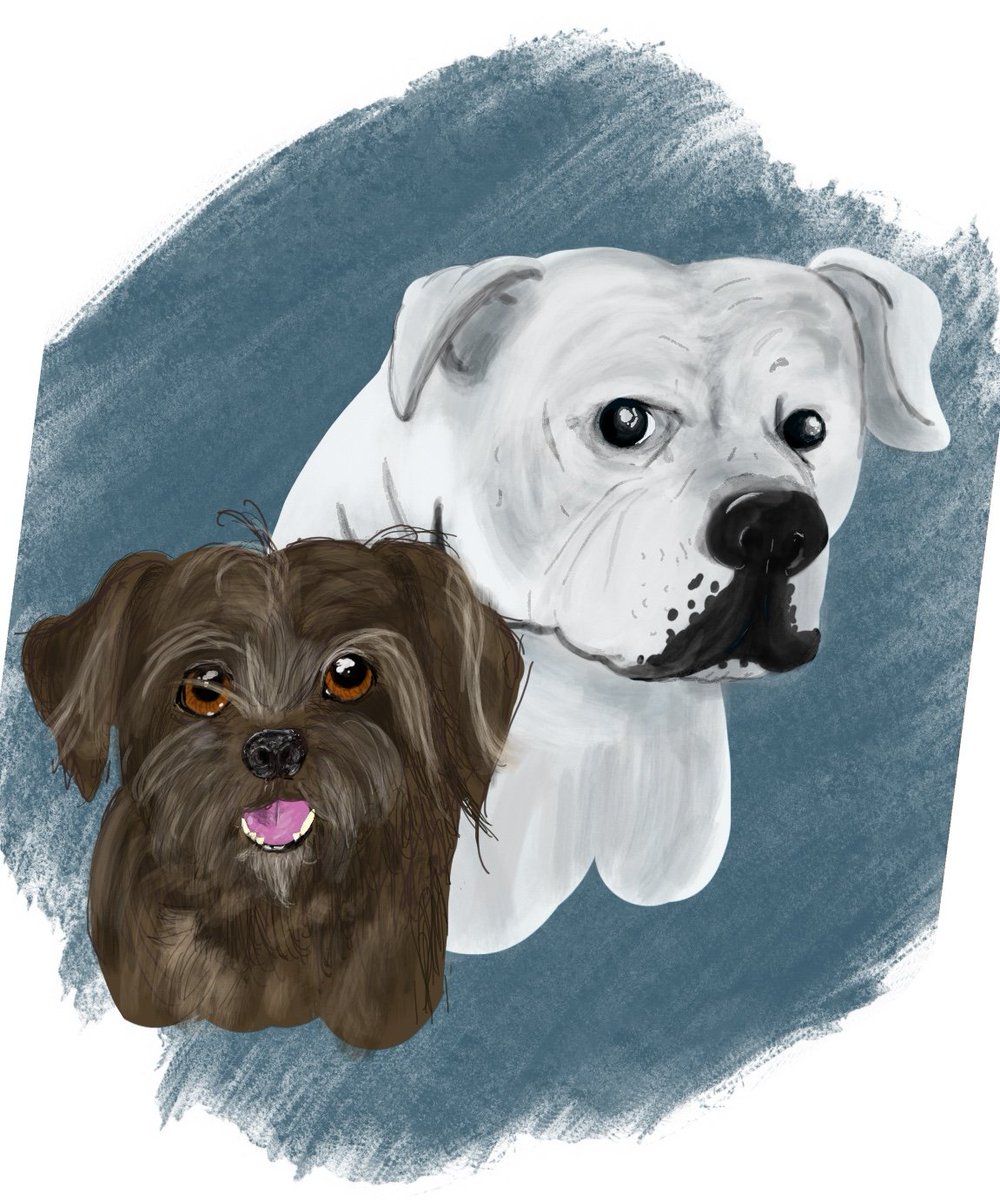 WyldeHogg's tweet photo. Haven't been posting due to work and the passing of our beloved Taz, due to some unexpected health issues. Here is my first attempt at a digital portrait and at procreate...This is Taz with Harley, another dog of ours that passed. 
#dogs #dogsoftwitter #DogLover #RIP #dogportrait https://t.co/1UvUwpk9xU